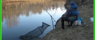 Небольшой отчёт Александра Токарева об рыбной ловле на фидер